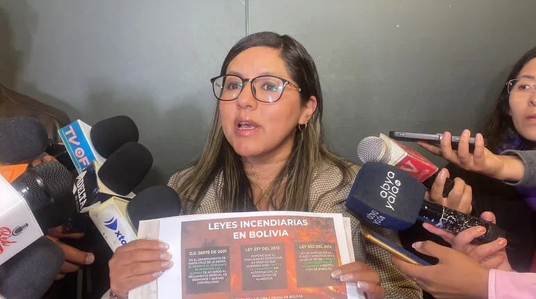 Diputada Lissa Claros