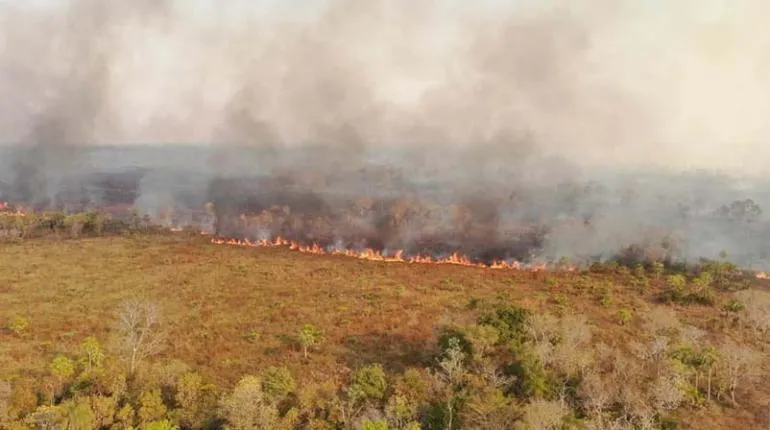 Foto: Gobernación de Santa Cruz