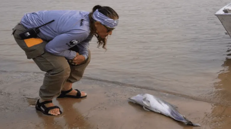 La sequía extrema redujo la profundidad de algunos ríos de la Amazonía a cerca de 70 cm