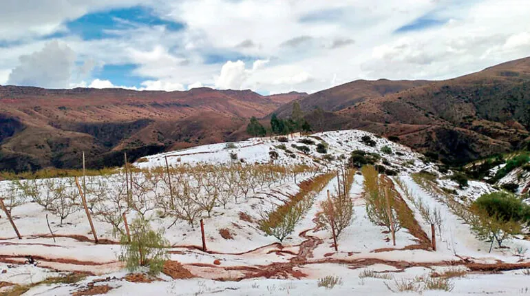 Foto: Alcaldía de San Lucas