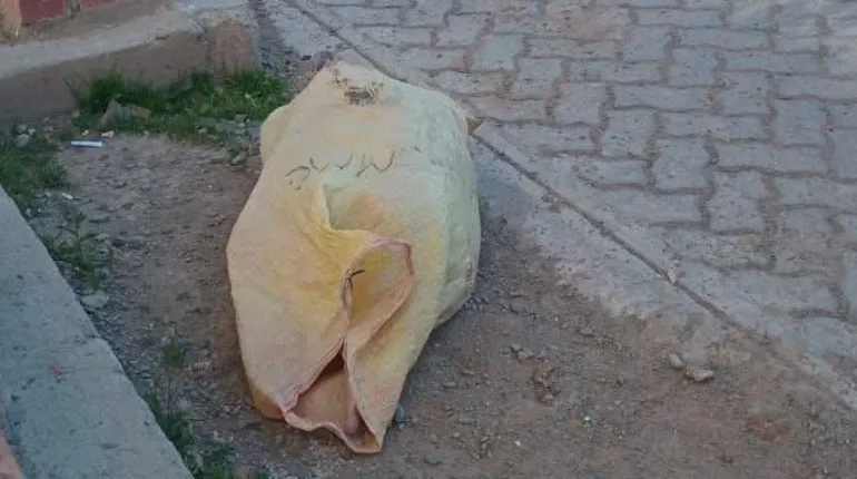Foto: EL ALTEÑO