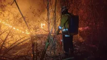 Incendios en Santa Cruz