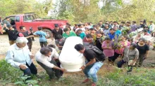 Foto: Radio Televisión Municipal Palos Blancos