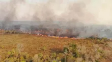 Foto: Gobernación de Santa Cruz