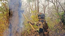 Bomberos sofocan el fuego 