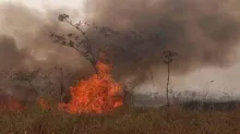 Los incendios forestales devastan la región.