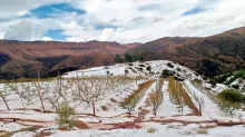 Foto: Alcaldía de San Lucas