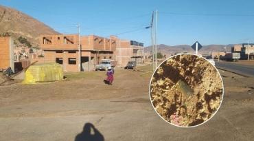 Foto: CORREO DEL SUR